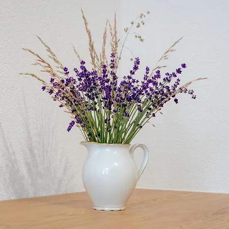 Zweite Heimat Daire *